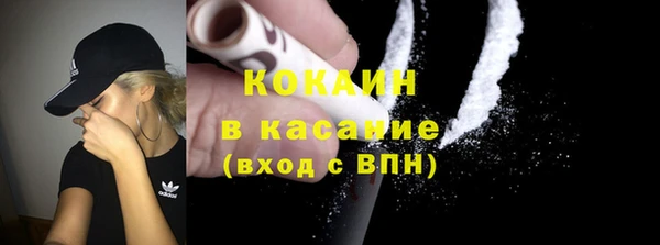 твердый Абаза