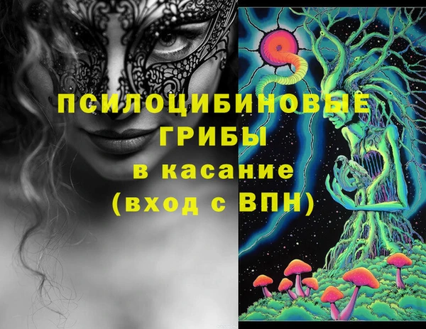твердый Абаза