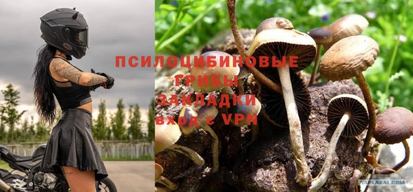 стаф Абинск