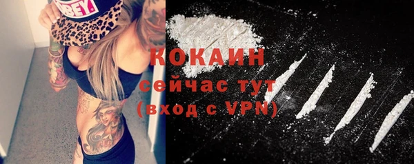 стаф Абинск