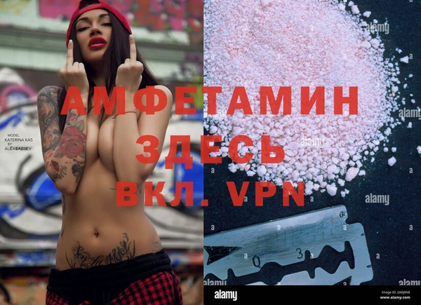 твердый Абаза