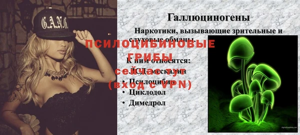 твердый Абаза