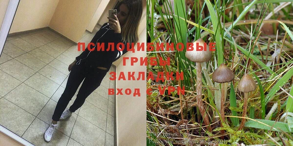 стаф Абинск