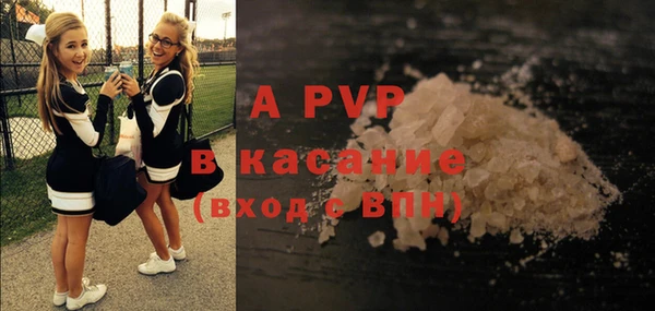 стаф Абинск