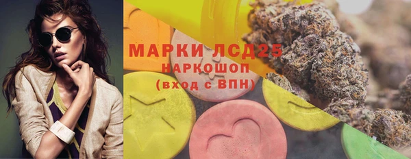 стаф Абинск